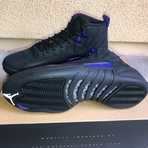 Air Jordan Retro 12 Dark concord shoe